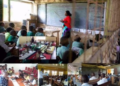 The Public Private Schools – Bringing Private Education into Public Schools